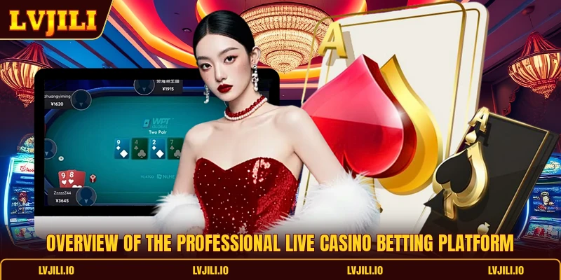 Overview of the professional live casino betting platform